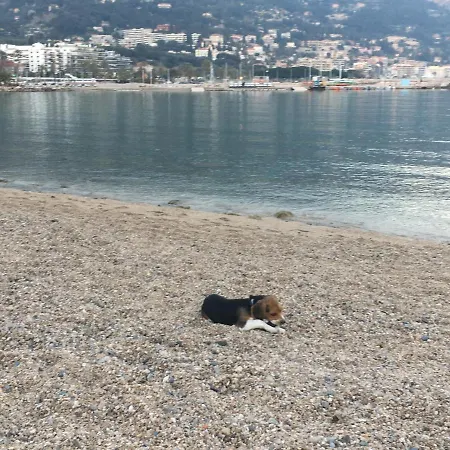 Apartamento Maroelvi Menton
